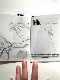 Image 3 of Guide to Helping Pigeons Zine