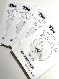 Image 1 of Guide to Helping Pigeons Zine