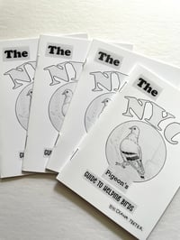Image 4 of Guide to Helping Pigeons Zine