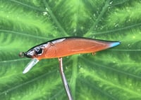Image 1 of SPEEDBAITS Custom Airbrushed TA 110 Jerkbait SUSPEND 4165