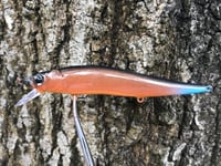 Image 10 of SPEEDBAITS Custom Airbrushed TA 110 Jerkbait SUSPEND 4165