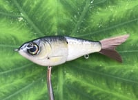 Image 1 of  SPEEDBAITS Custom Airbrushed Glide Bait 4228