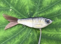 Image 2 of  SPEEDBAITS Custom Airbrushed Glide Bait 4228