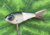 Image 4 of  SPEEDBAITS Custom Airbrushed Glide Bait 4228