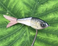 Image 5 of  SPEEDBAITS Custom Airbrushed Glide Bait 4228