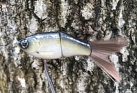 Image 14 of  SPEEDBAITS Custom Airbrushed Glide Bait 4228