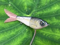 Image 9 of  SPEEDBAITS Custom Airbrushed Glide Bait 4228