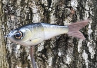 Image 16 of  SPEEDBAITS Custom Airbrushed Glide Bait 4228