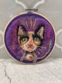 Image 1 of Worry Wart