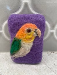 Image 1 of Parrot 🦜 