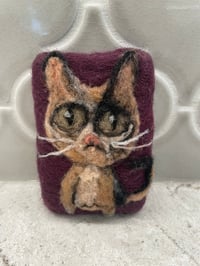 Image 1 of Calico Cat