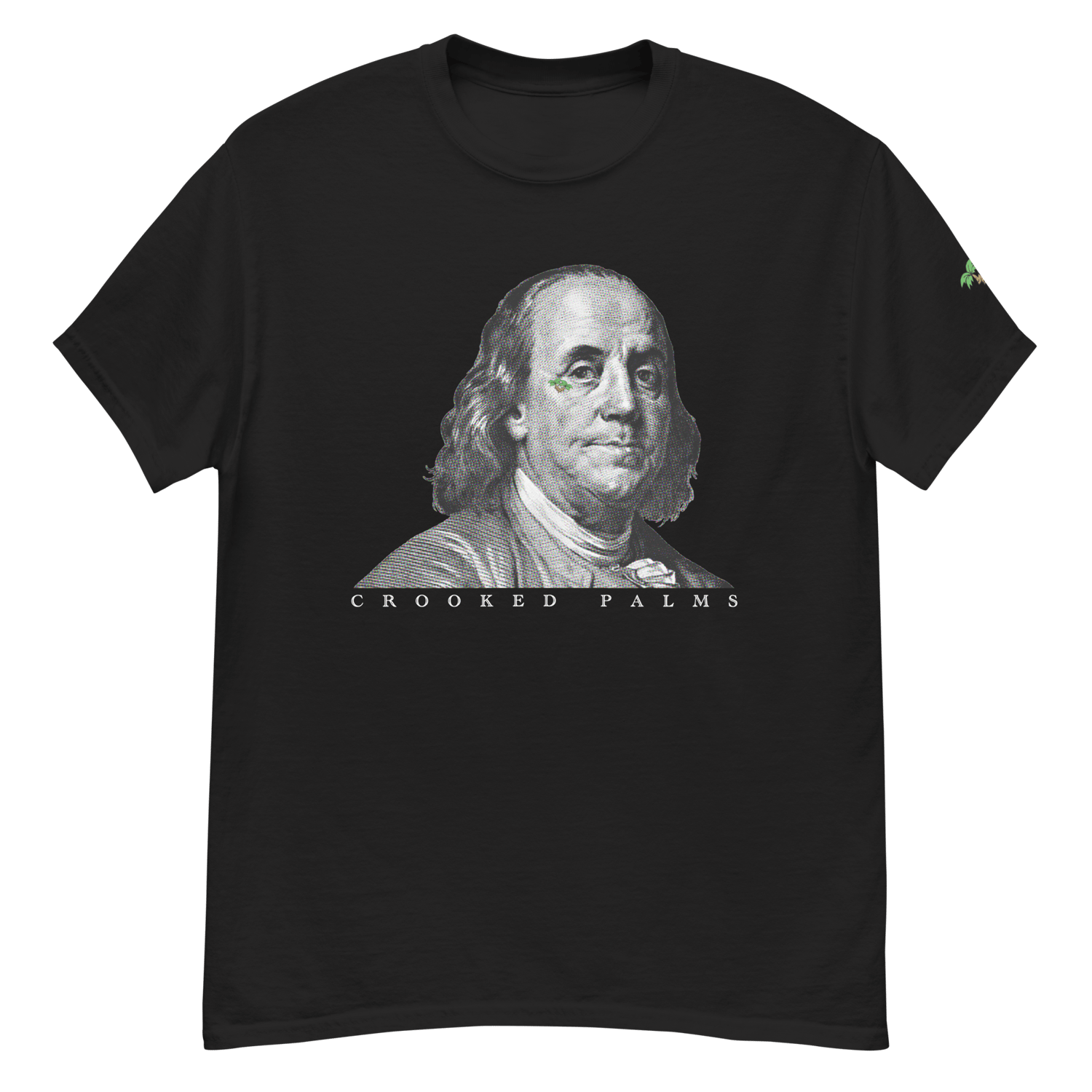 Image of Crooked Palms - Ben Frankie 