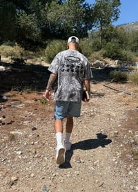 Image 3 of Trust Jesus 