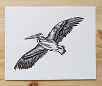 Image 1 of Pelican #2