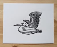 Image 1 of Pelican #3