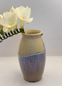 Image 1 of Vase | Moonstone Beach
