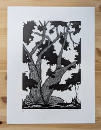 Image 1 of Missing Limb