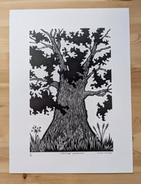 Image 1 of Heritage Cottonwood