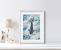Image 2 of Whale shark #2