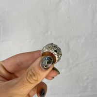 Image 3 of Texture Band Stones #2