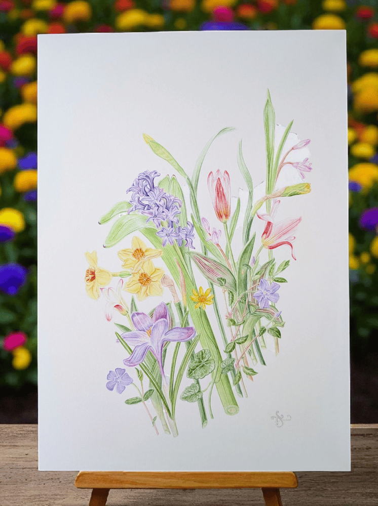 Image of A3 Giclée Photo Rag  Botanical Prints