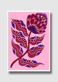 PROTEA FOLK