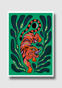 JUNGLE
