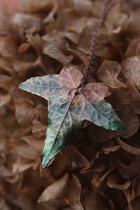 Image 3 of Vera foglia di edera elettroformata in rame con patina verde
