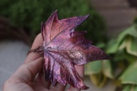 Image 5 of Vera foglia di platano acerifolia maxi elettroformata in rame con patina viola