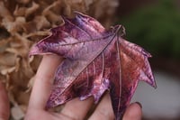 Image 2 of Vera foglia di platano acerifolia maxi elettroformata in rame con patina viola