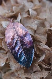 Image 2 of Vera foglia di alloro racchiusa nel rame con patina blu-viola