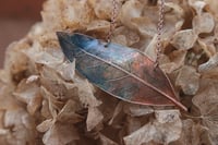 Image 1 of Vera foglia di alloro racchiusa nel rame con patina blu teal