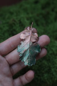 Image 1 of Vera foglia di quercia elettroformata in rame con patina verde