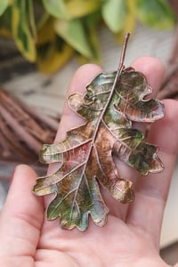 Image 2 of Vera foglia di quercia racchiusa nel rame con patina autunnale