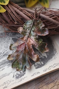 Image 3 of Vera foglia di quercia racchiusa nel rame con patina autunnale