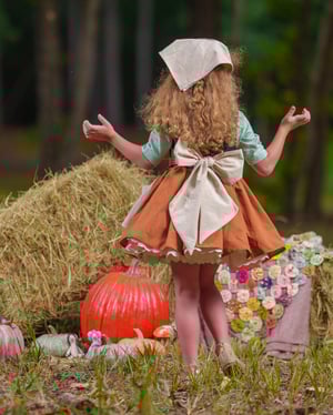 Image of Cindersoot Pre order Dress