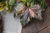 Image 1 of Vera foglia di platano acerifolia maxi elettroformata in rame con patina verde e agata muschiata