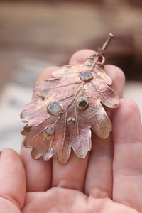 Image 2 of Vera foglia di quercia 1 - Sotto la superficie