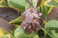 Image 1 of Vera foglia di quercia 1 - Sotto la superficie