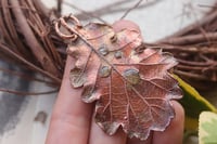 Image 2 of Vera foglia di quercia 2 - Sotto la superficie