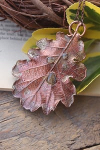 Image 3 of Vera foglia di quercia 2 - Sotto la superficie