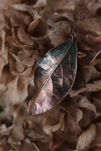 Image 4 of Vera foglia di alloro rivestita in rame con patina verde scuro