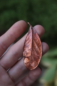 Image 3 of Vera foglia di alloro elettroformata in rame con finitura ossidata 2