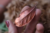 Image 1 of Vera foglia di alloro elettroformata in rame con finitura ossidata 2