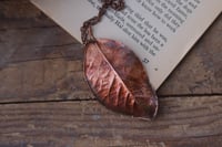 Image 2 of era foglia di alloro elettroformata in rame con finitura ossidata 3