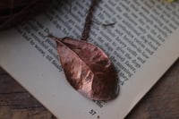 Image 2 of Vera foglia di alloro elettroformata in rame con finitura ossidata 4