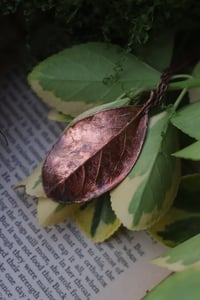 Image 3 of Vera foglia di alloro elettroformata in rame con finitura ossidata 4