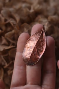 Image 1 of Vera foglia di alloro elettroformata in rame con finitura ossidata 4