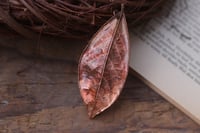 Image 1 of Vera foglia di alloro elettroformata in rame con finitura ossidata 5