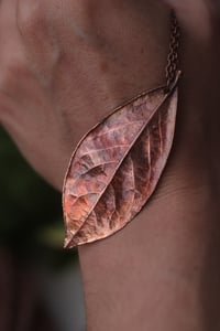 Image 3 of Vera foglia di alloro elettroformata in rame con finitura ossidata 5